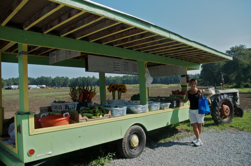 Judy Winn (pictured) said she stops by Winterbottom Farm several times a week. Attendant Cecelia Raymos said there will be fresh produce until the end of October at the stand on Acushnet Road just past Long Plain Road in Mattapoisett. The 15 farmed acres yield a variety of offerings, from eggplant and cabbage to string beans and melons. BY GEORGIA SPARLING