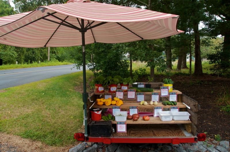 On the Ledge Farm at 105 New Bedford Road in Rochester offers a variety of organic produce, which can also be found at Acushnet's farmer's market on Saturdays. BY GEORGIA SPARLING