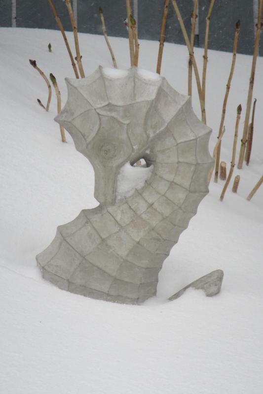 It's not exactly seahorse weather in Mattapoisett. COURTESY NOI SABAL