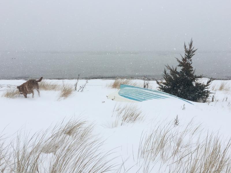 Jennifer Adams snapped this snowy seaside pic while on a walk with her dog in Mattapoisett on Tuesday. COURTESY JENNIFER ADAMS