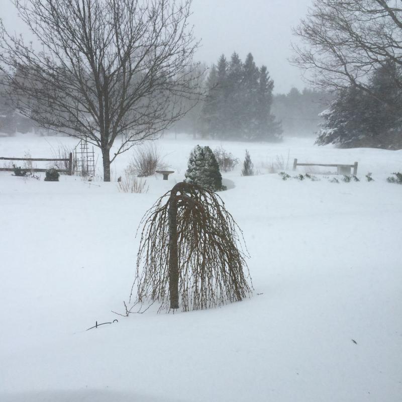 Edyie Johnson sent in this pic of a snowy hayfield in Rochester. COURTESY EDYIE JOHNSON