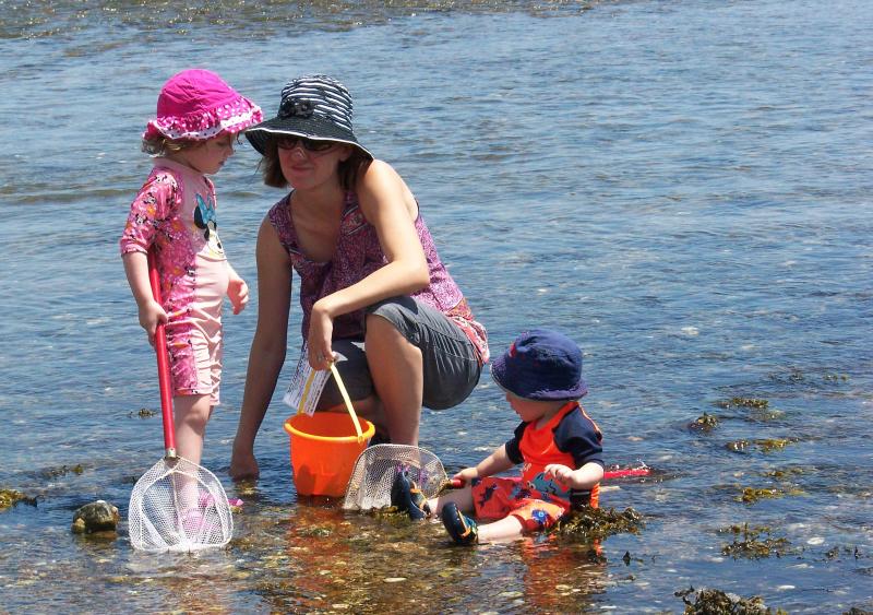 How to catch blue crabs in Buzzards Bay with your kids - Buzzards Bay  Coalition