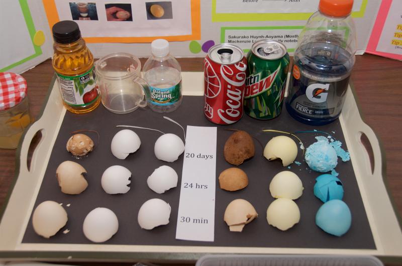 One student studied how different substances stain teeth over time using eggshells. BY GEORGIA SPARLING