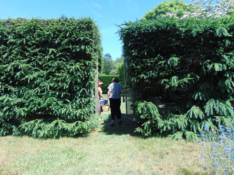 The large hedges of the Stone Estate separated the large garden into various sections. BY TANNER HARDING