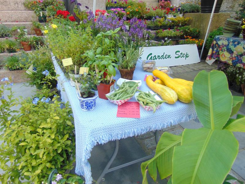 The plants for sale were donated by local stores and the produce was donated from someone's personal garden. BY TANNER HARDING