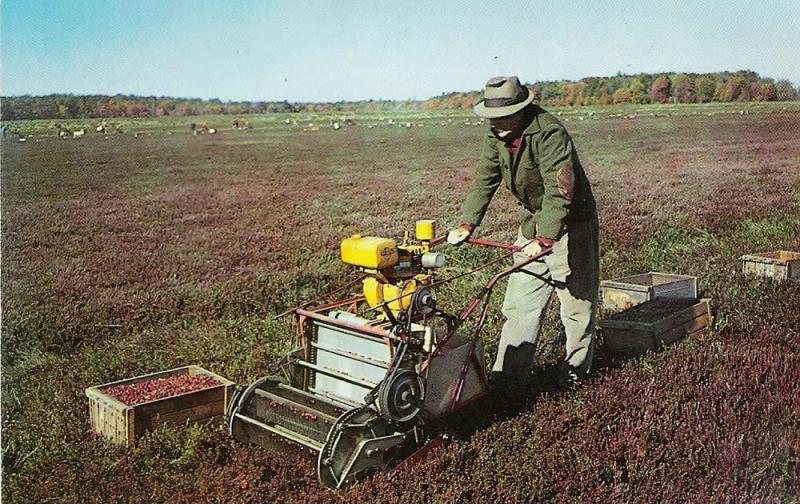 A 1950s-era Darlington Dry Harvester, produced by Hayden Manufacturing Company. COURTESY HAYDEN MANUFACTURING CO.