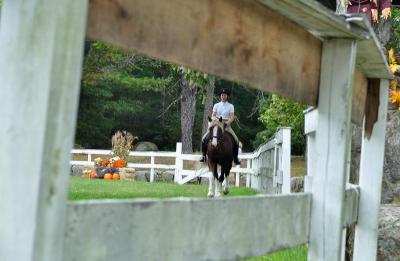 The event involved several classes of riders and horses and drew 30 horses and ponies and over 40 participants. BY MATT CAMARA