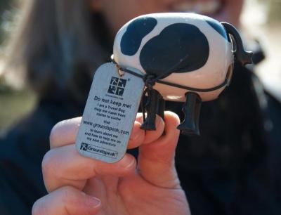 "Travel bugs" are often found in caches and have a serial number that can be entered on the geocaching website. BY GEORGIA SPARLING