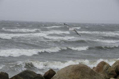 The beaches at the end of Point Road in Marion were feeling the brunt of the storm early. BY GEORGIA SPARLING