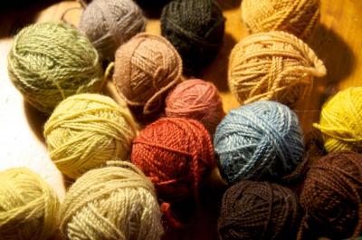 Sanders experiments with the wool from ancient breeds of sheep, spinning it herself and coloring it with natural dyes that include black walnuts and goldenrod she finds in local yards and fields. BY GEORGIA SPARLING