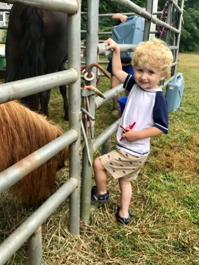 Carter LeGrow, 2 1/2, of Freetown, enjoys the petting zoo at the Colonial War encampment. BY CHRIS REAGLE