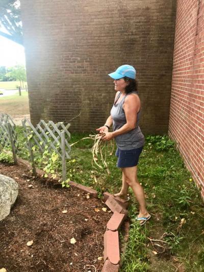 Karen Browning, a math teacher at Old Rochester High, weeds a memorial garden at the high school. BY CHRIS REAGLE