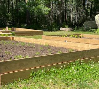 Kristina Bacchiocchi started this box garden at home as an “extended science project” with her daughters. When she reopens, she plans to bring it to A Happy Healthy Start and show her daycare children how to harvest vegetables. Photo by: Kristina Bacchiocchi