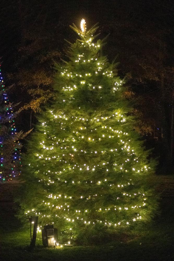 The Marion Christmas tree was all lit up on the night of Sunday, Dec. 11.
