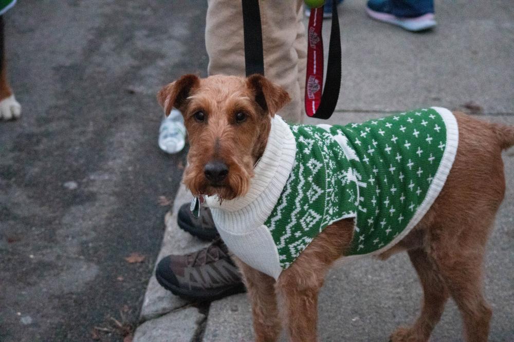 Benson donned a green Christmas sweater for the stroll.