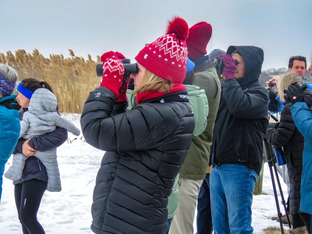 Bundled-up visitors brought binoculars to spot birds from afar at the Feb. 14 event. Photos by Grace Roche