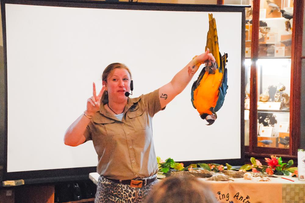 Bethany Boucher holds Jinx, a blue and gold macaw who loves to hang upside down, during a presentation at the Marion Natural History Museum on Monday, Aug. 4. Photos by Grace Roche