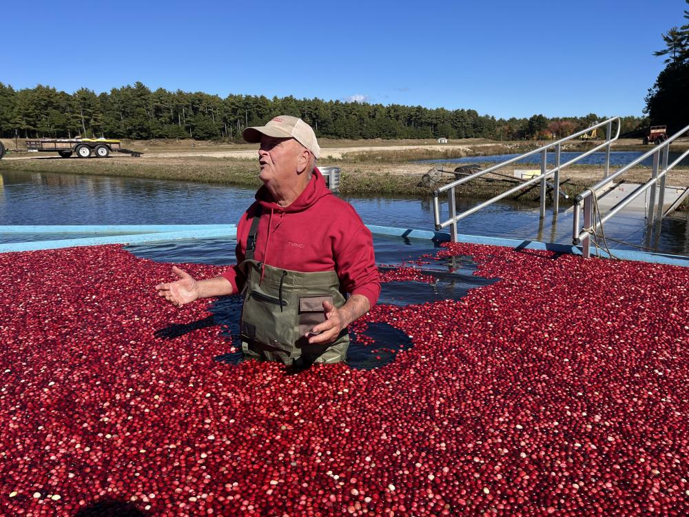 Woody Hartley, surrounded by cranberries, talks to a group visiting the farm Thursday, Oct. 15. Photos by Grace Roche