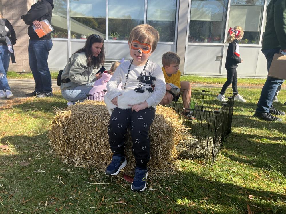 Jake Dias, 3, pets a bunny that's snuggled up in his arms at the family fun day at Old Rochester Regional High School on Saturday, Oct. 24. Photos by Grace Roche