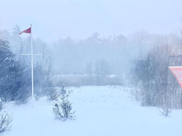 Snow fills the back yard of a Mattapoisett house. Photo source: Mary Dermody