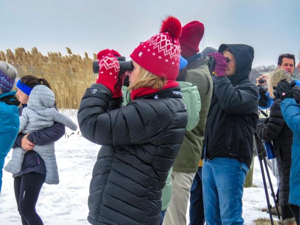 Bundled-up visitors brought binoculars to spot birds from afar at the Feb. 14 event. Photos by Grace Roche