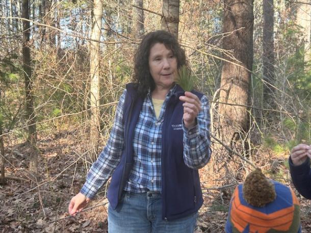 Marianne Piche talks to members of the Marion Natural History Museum's afterschool group during a walk in Holmes Woods on  Wednesday, April 8. Photo source: Elizabeth Leidhold