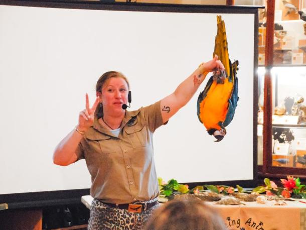 Bethany Boucher holds Jinx, a blue and gold macaw who loves to hang upside down, during a presentation at the Marion Natural History Museum on Monday, Aug. 4. Photos by Grace Roche