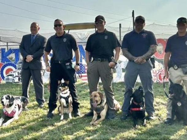 Comfort dogs from the office of District Attorney Tim Cruz will attend the meet and greet. Photo source: Rochester COA