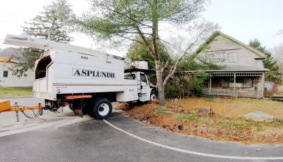 The vehicle crashed into a roadside tree, causing the tree to fall onto the home. Photo by: David Curran.