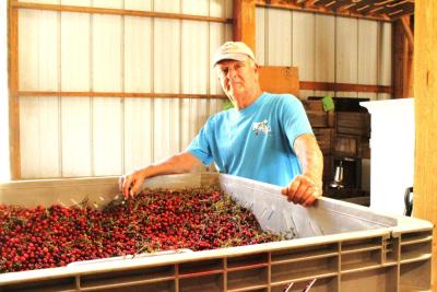 Rochester farmer Woody Hartley stands next to a batch of harvested cranberries.