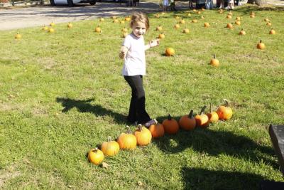 Rochester resident Cassie Dolan, 4, poses in front of a line of pumpkins.
