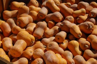 Fresh produce from the farm and other local farms are for sale.