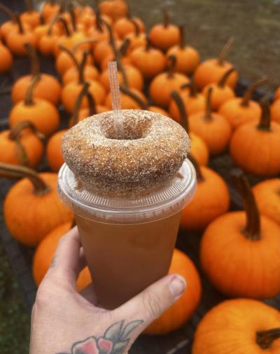 Apple cider donut and some apple cider from Cervelli's Farm Stand. Source: Sarah Reusch 