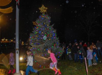 The Rochester Christmas tree was lit for all to see.