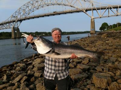 Doherty holds up a 30-pound striped bass beneath the Bourne Bridge along the Cape Cod Canal.