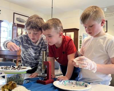 From left to right, Leo Oliver, Sawyer Fiske and Joseph Wirth inspect the wiggly worms on Mar. 19 at the Marion Natural History Museum. Photo by Brandy Muz