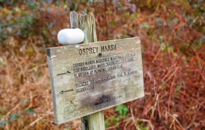 The Osprey Marsh sign made by the Sippican Land Trust.