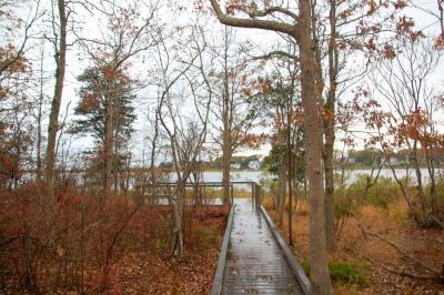 The Osprey Marsh where the January forest walk will happen.