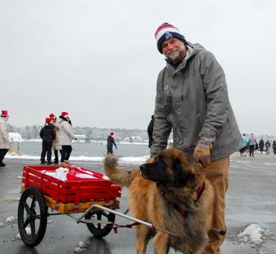 The Crete family always brings Santa hats to share with their two Leonbergers. 