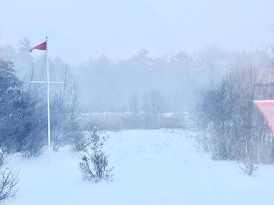 Snow fills the back yard of a Mattapoisett house. Photo source: Mary Dermody