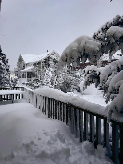 Over a foot of snow covers the trees and yard at a Marion home, Photos source: Meg Albert
