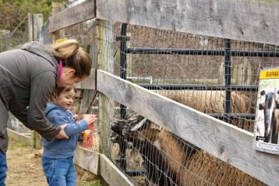 Jonathan enjoys his new friends. 