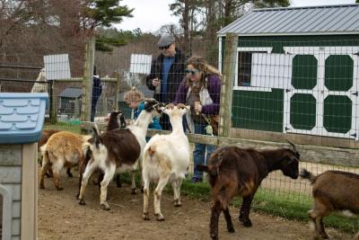 Visitors of all ages fed the animals. 