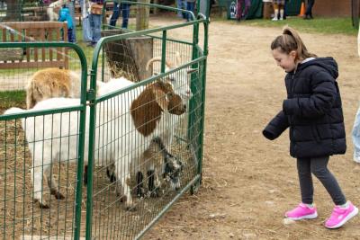 Molly Wirth, 9, made sure none of the food other visitors dropped on the ground went to waste. 