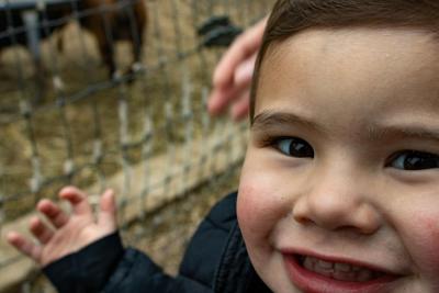 After commandeering the camera, Collin Smith, 2, snaps a self-portrait. 