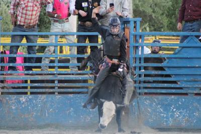 Holy cow, this rider is holding on.