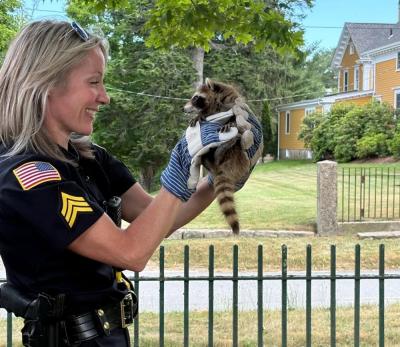 Sgt. Catherine Connolly holds the baby raccoon she brought down from a tree. Photo source: Rochester Police 