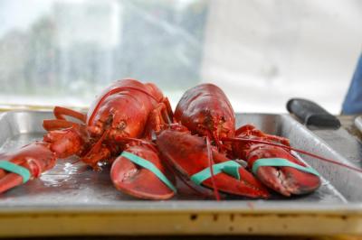 Harbor Days visitors could purchase freshly-steamed lobsters at the event. 
