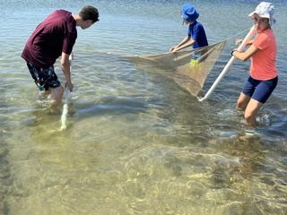 Kids use a net to catch fish. 