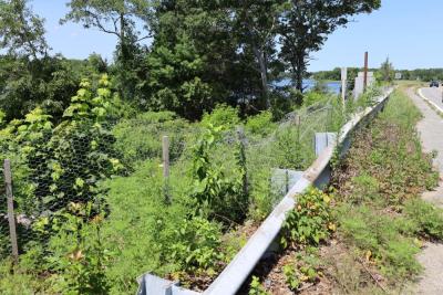 Wire fencing sat along the side of the bridge. Photo by Nick Mossman